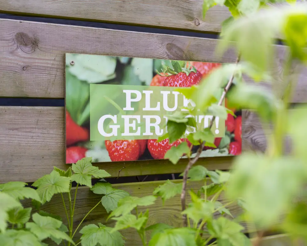 Tuinieren: groente, fruit & pluktuin