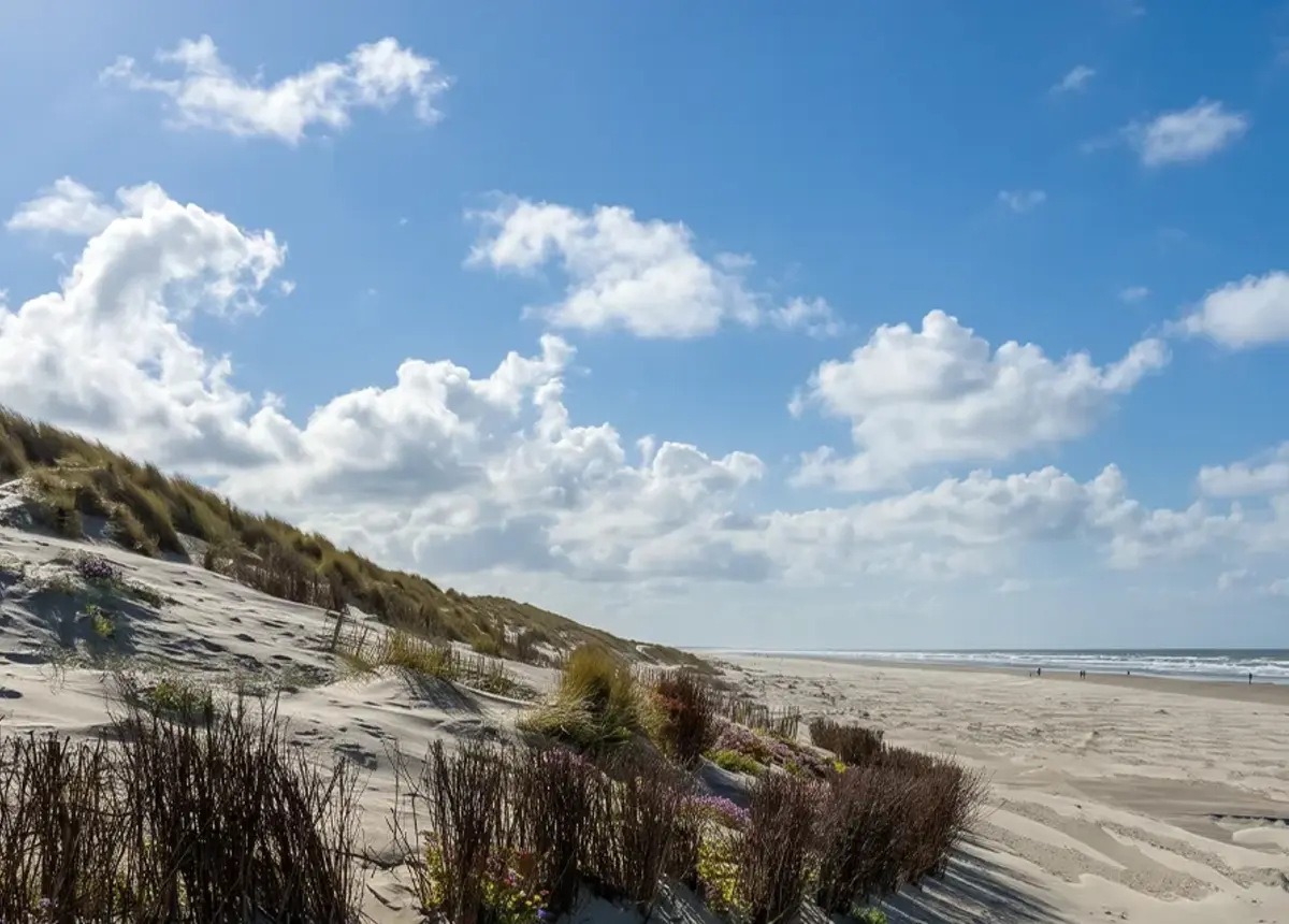 Natuurlijke omgeving