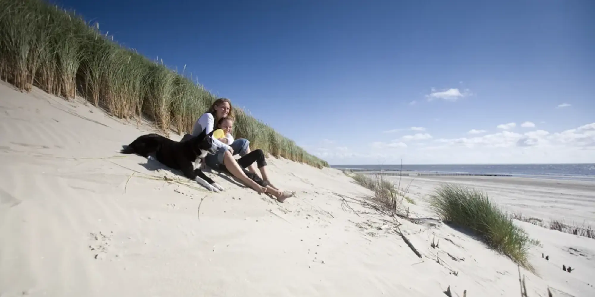 Het wad