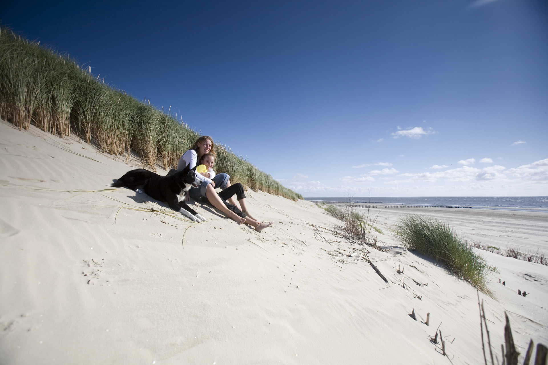 Het wad — beelden