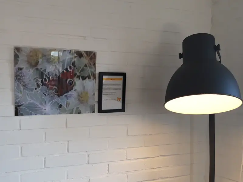 Dagpauwoog